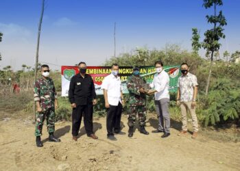 Dukung Penghijauan dan Pelestarian Lingkungan, Modernland  Bersama TNI Tanam Seribu Pohon Produktif