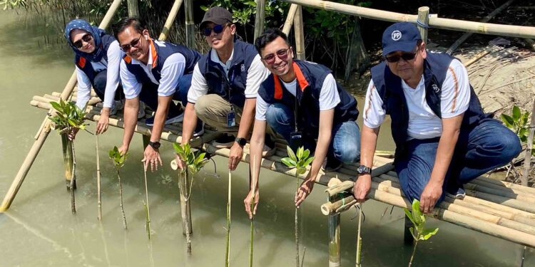 Konservasi Alam Berkelanjutan, Perumnas Tanam 70.000 Pohon Mangrove & Kembangkan UMKM Binaan di Demak