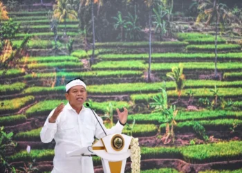 Fokus Mitigasi Bencana, Dedi Mulyadi Stop Izin Perumahan Baru di Jawa Barat
