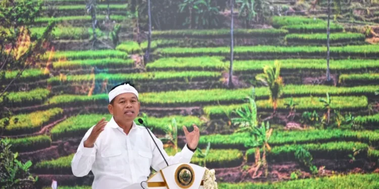 Fokus Mitigasi Bencana, Dedi Mulyadi Stop Izin Perumahan Baru di Jawa Barat