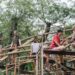 Kompetisi Desain Rumah Bambu 2026 Resmi Bergulir, Pemenang Akan Bangun Prototipe di Bali